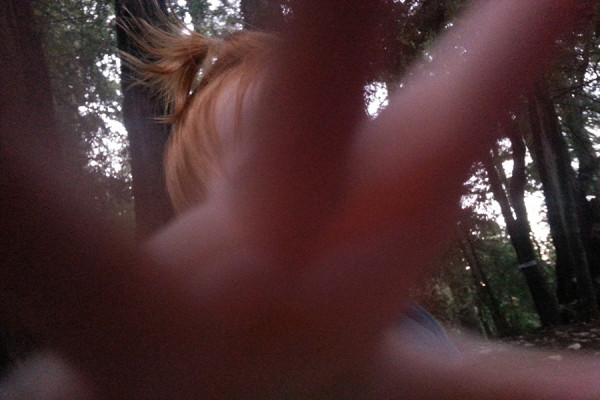 20150628_11